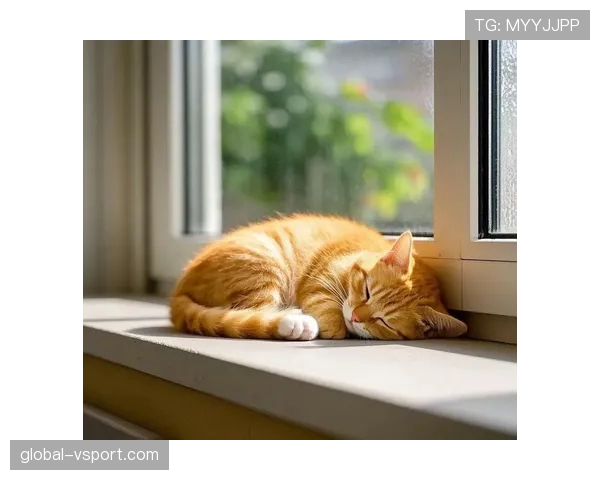 听说陈艺文家里连猫都比我工资高？真的假的？