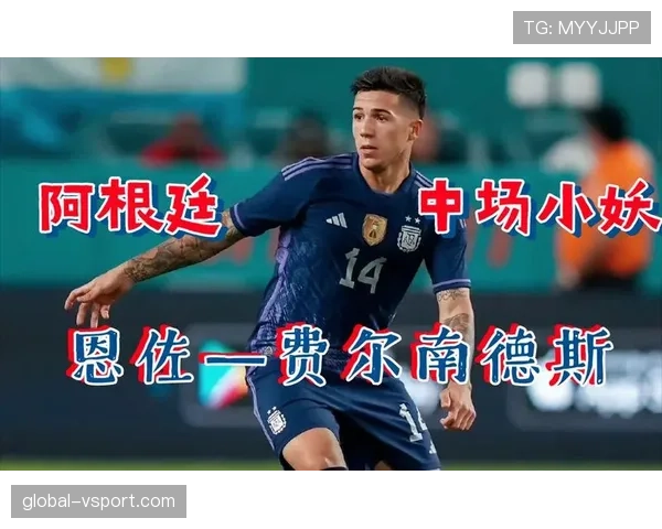 恩佐·费尔南德斯的世界杯冠军含金量：角色、贡献与成长轨迹解析