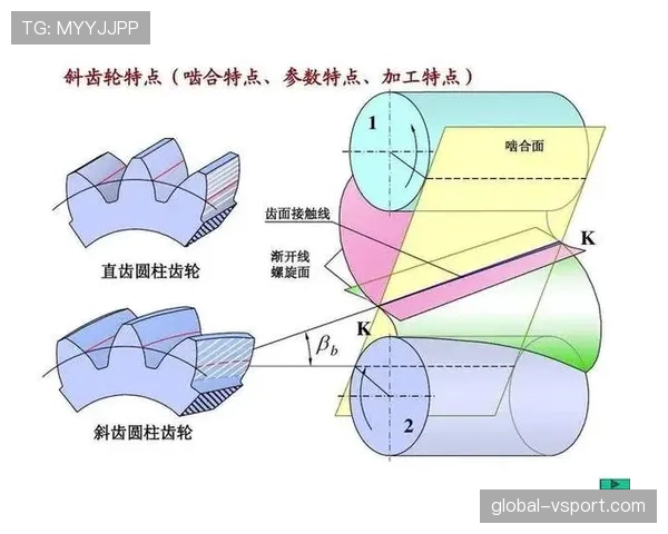 篮球圆柱体原则详解：理解合法防守与犯规界限